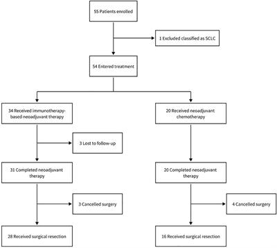 Real-world outcomes of immunotherapy-based neoadjuvant therapy in resectable non-small cell lung cancer